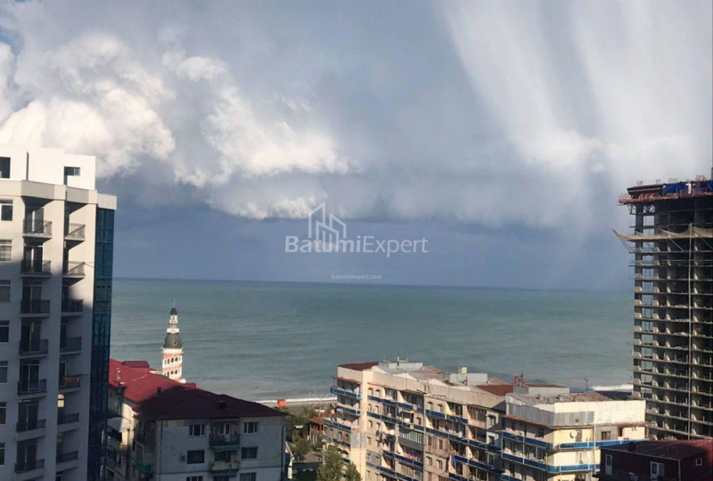 公寓 53 平方米的公寓 - 尼科·皮罗斯马尼, Batumi, 佐治亚州。