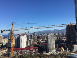 公寓 48 平方米的公寓 - 尼科·皮罗斯马尼, Batumi, 佐治亚州。