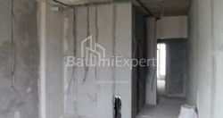 在建目标房产 34.8 平方米的公寓 - 莱赫和玛丽亚·卡钦斯基, Batumi, 佐治亚州。