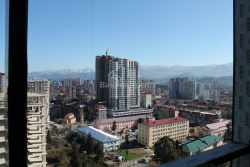 公寓 30.3 平方米的公寓 - 英雄巷, Batumi, 佐治亚州。