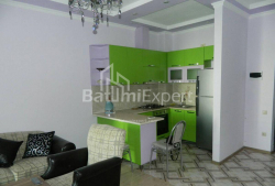 公寓 3-комн 56 m² - 尼科·皮罗斯马尼, Batumi