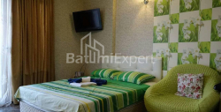公寓 1-комн 33 m² - 尤里耶夫斯卡娅, Batumi