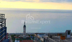 公寓 1-комн 33 m² - 尼科·皮罗斯马尼, Batumi
