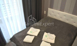 公寓 1-комн 33 m² - 尼科·皮罗斯马尼, Batumi