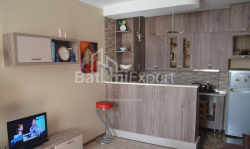 公寓 3-комн 64 m² - 沙尔瓦·伊纳萨里泽, Batumi