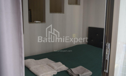 公寓 1-комн 31 m² - 尼科·皮罗斯马尼, Batumi