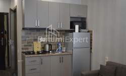 公寓 1-комн 31 m² - 尼科·皮罗斯马尼, Batumi