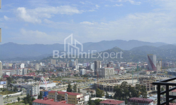 公寓 1-комн 31 m² - 尼科·皮罗斯马尼, Batumi