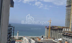 公寓 1-комн 31 m² - 尼科·皮罗斯马尼, Batumi