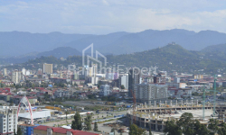 公寓 1-комн 33 m² - 尼科·皮罗斯马尼, Batumi