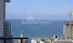公寓 1-комн 33 m² - 尼科·皮罗斯马尼, Batumi