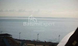 公寓 1-комн 24 m² - 尤里耶夫斯卡娅, Batumi