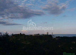 地块 300 m² - 尤里耶夫斯卡娅, Batumi