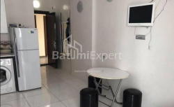 公寓 1-комн 29 m² - 尤里耶夫斯卡娅, Batumi