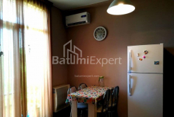 公寓 2-комн 43 m² - 尤里耶夫斯卡娅, Batumi