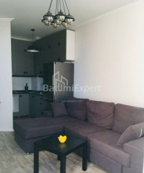 公寓 2-комн 48 m² - 亚历山德拉·普希金, Batumi