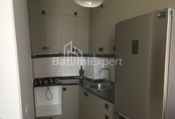 公寓 2-комн 48 m² - 亚历山德拉·普希金, Batumi
