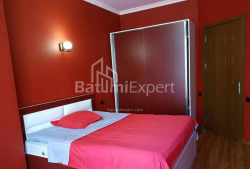 公寓 2-комн 45 m² - 伊利亚·查瓦查瓦泽, Batumi