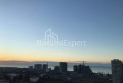 公寓 1-комн 36 m² - 格里戈拉埃利亚瓦, Batumi