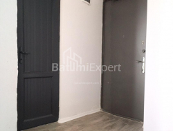 公寓 2-комн 48 m² - 亚历山德拉·普希金, Batumi