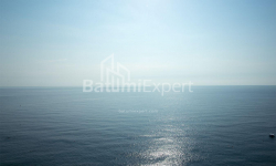 公寓 3-комн 54 m² - 尤里耶夫斯卡娅, Batumi