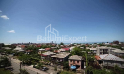 公寓 3-комн 60 m² - 尤里耶夫斯卡娅, Batumi