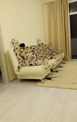 公寓 2-комн 55 m² - 米哈伊尔·莱蒙托夫, Batumi