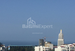 公寓 2-комн 42 m² - 伊利亚·查瓦查瓦泽, Batumi