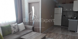 公寓 3-комн 66 m² - 亚历山德拉·普希金, Batumi