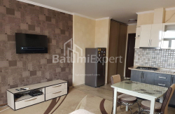 公寓 1-комн 33 m² - 治安官 Khimshiashvili, Batumi