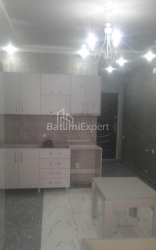 公寓 1-комн 32 m² - 尼科·皮罗斯马尼, Batumi