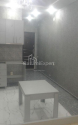 公寓 1-комн 32 m² - 尼科·皮罗斯马尼, Batumi