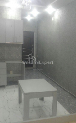 公寓 1-комн 32 m² - 尼科·皮罗斯马尼, Batumi