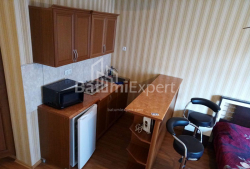 公寓 1-комн 33 m² - 尤里耶夫斯卡娅, Batumi
