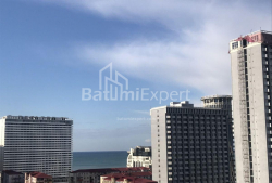 公寓 3-комн 53 m² - 尼科·皮罗斯马尼, Batumi