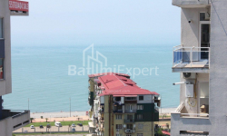 公寓 3-комн 60 m² - 尤里耶夫斯卡娅, Batumi