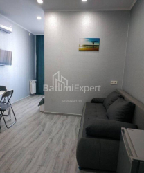 公寓 19-комн 34 m² - 尼科·皮罗斯马尼, Batumi