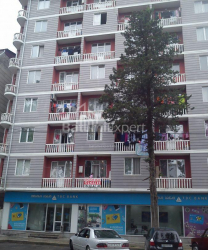 公寓 3-комн 47 m² - Vakhtang Gorgasali, Batumi