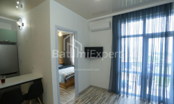 公寓 2-комн 40 m² - 尤里耶夫斯卡娅, Batumi