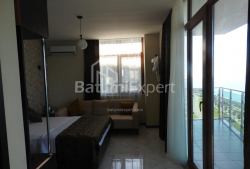公寓 18-комн 31 m² - 尤里耶夫斯卡娅, Batumi