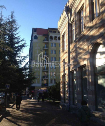 公寓 2-комн 58 m² - 伊利亚·查瓦查瓦泽, Batumi