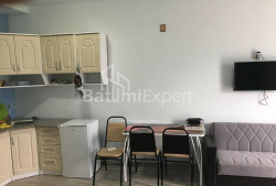 公寓 1-комн 38 m² - 尤里耶夫斯卡娅, Batumi