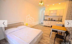 公寓 1-комн 31 m² - 尼科·皮罗斯马尼, Batumi