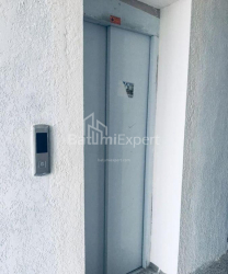 公寓 4-комн 104 m² - 尼科·皮罗斯马尼, Batumi