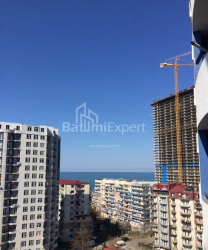 公寓 32 平方米的公寓 - 尼科·皮罗斯马尼, Batumi, 佐治亚州。