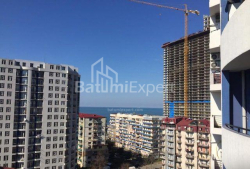 公寓 32 平方米的公寓 - 尼科·皮罗斯马尼, Batumi, 佐治亚州。
