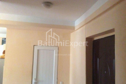 公寓 2-комн 55 m² - 尤里耶夫斯卡娅, Batumi
