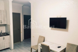 公寓 2-комн 40 m² - 尤里耶夫斯卡娅, Batumi