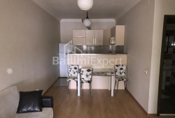 公寓 2-комн 45 m² - 尤里耶夫斯卡娅, Batumi