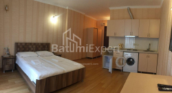 公寓 1-комн 33 m² - 治安官 Khimshiashvili, Batumi